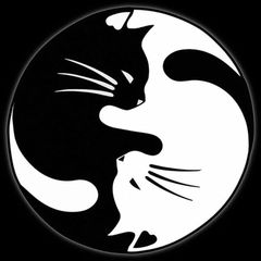 猫 ねこ ステッカー 白猫 黒猫 カップル 丸型 ステッカーシール