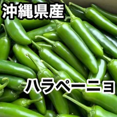 農家直送！新鮮ハラペーニョ（青 唐辛子）良品500g
