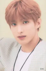 SEVENTEEN ひとりじゃない DK トレーディングカード 第一弾