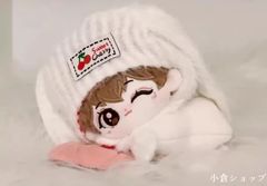 ジョシュア ぬいぐるみ 10cm seventeen マスター 人形 절미슈 - メルカリ