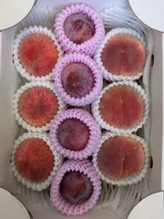 ucc様専用クール便