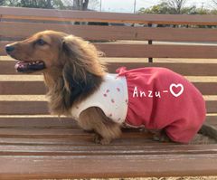 サラダ様専用ページです ダックスフンド 犬服 わんこ服 - メルカリ