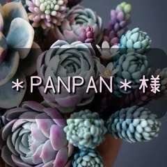 ＊PANPAN＊様　専用