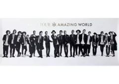 【中古】ポスター(男性) ポスター EXILE 「EXILE LIVE TOUR 2015 “AMAZING WORLD”」