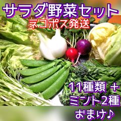 ♥数量限定!!♥11種類サラダ野菜ミックスセット♥野菜詰め合わせ無農薬
