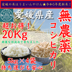 無農薬栽培　令和5年度　新米【玄米・白米選べます】愛媛県産　お米　コシヒカリ　20kg