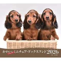 【未使用新品】ネムリエール 仔犬 ミニチュア・ダックスフンド ミニチュアダックスフンド(仔) 39 | HANSA