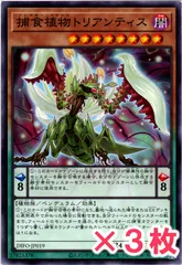 遊戯王 捕食植物トリアンティス ノーマル : N (3枚セット)