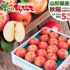 【予約/10月上旬(10月3日)頃～出荷予定】 山形県産 ご家庭用 りんご 秋陽 5kg (準秀品/13玉～23玉入り) しゅうよう リンゴ 林檎 ご自宅用 ご家庭用 お家用 お得 お買い得 果物 フルーツ 山形県 山形県直送 グルメ お取り寄せ