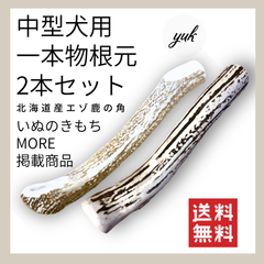 【送料無料】中型犬用　一本物　根元2本セット　エゾ鹿の角　犬のおもちゃ　鹿の骨 D