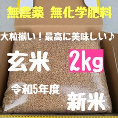 さくらの玄米   【選別済みの大粒ぞろい】農薬不使用  化学肥料不使用 除草剤不使用 ヒノヒカリ  玄米  2kg