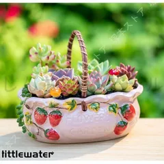 岡*平様 ◆オークション　花籠 子株付　発根株　サボテン　多肉植物 岡*平様 ◇オークション 花籠 子株付 発根株 サボテン 多肉植物