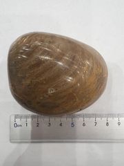 オールドチベット老メノウ瑪瑙 纏絲瑪瑙 大玉棗形根付 緒締玉提げ物Dzi