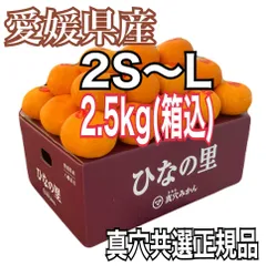 2025年最新】真 穴 の みかんの人気アイテム - メルカリ