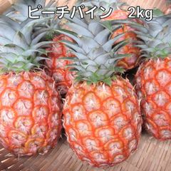 沖縄産 ピーチパイン 2kg 2〜4個