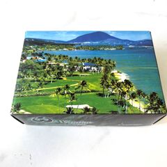 ✴︎未使用級✴︎SONY OPEN ソニーオープン ハワイ ゴルフボール 6球 ホワイト