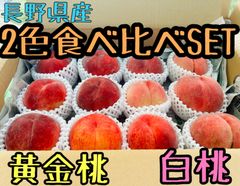 2色食べ比べSET 黄金桃白桃 長野県産 家庭用B品　クール便送料無料！必ず商品説明をご覧ください。