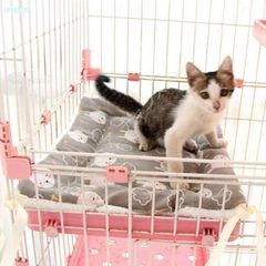 猫用マット 冬 冬用マット ペットマット クッション 冬 ふわふわ 高反発 猫 犬 ベッド ペットベット 犬ケージマット 柔らかい オールシーズン用 おしゃれ 秋冬