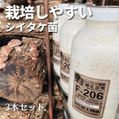 【自分で栽培】しいたけ菌 F-206 (菌王2号) 1,200cc ×3本 オガ菌 ⭐︎送料無料⭐︎ 椎茸栽培 原木椎茸