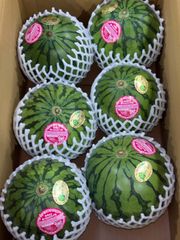 鹿児島県産 土付きらっきょう 約3キロ - メルカリ