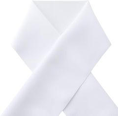 Item thumbnail for item 13c364d2-b8ed-4882-a57f-e3be3bac2a73