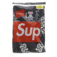 SUPREME (シュプリーム) 22AW×Hanes Bandana Tagless Tee ヘインズ バンダナ総柄プリント半袖Tシャツ 2枚セット