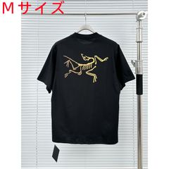 Arc'teryx アークテリクスKRAGG　Tシャツ　レディース　メンズ　半袖Tシャツ 男女兼用　M
