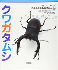 2024年最新】クワガタムシ 飼育の人気アイテム - メルカリ