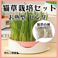 【猫草】お魚型の猫草栽培セット！種2回分付き！すぐ栽培できます