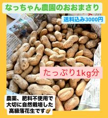 高級落花生おおまさり(農薬、肥料不使用)