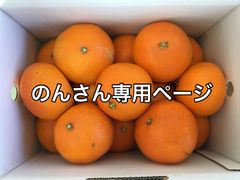 愛果28号