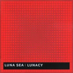 2024年最新】luna sea レコードの人気アイテム - メルカリ
