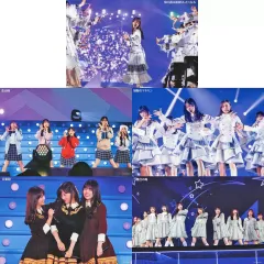 【中古】ポストカード 乃木坂46 ポストカードセットB(5枚組) 「Blu-ray/DVD MIZUKI YAMASHITA GRADUATION CONCERT 完全生産限定盤」 封入特典
