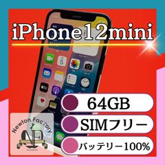 Apple iPhone12mini 64GB SIMフリー バッテリー100%　管理番号88