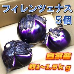 A-STYLE　ヴィオレッタ・ディ・フィレンツェナス 自家産 5個農家直送品ショップアカウントではゆうゆうメルカリ便で送れないため沖縄への発送は出来かねます、個人アカウントよりご購入頂けましたら発送可能ですので出品致しましたらそちらよりよろしくお願いいたします