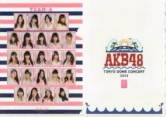 【中古】クリアファイル(女性アイドル) チームA A4クリアファイル 「AKB48グループ東京ドームコンサート～するなよ?するなよ? 絶対卒業発表するなよ?～」 AKB48単独公演限定