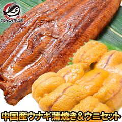 うにうなぎセット ＜梅＞ 超特大！うなぎ蒲焼き 平均330g前後×2尾 生ウニ 100g タレ付き 柔らかうなぎと生ウニの贅沢セット