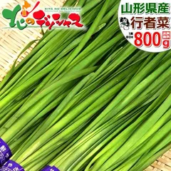 【出荷中】 山形県産 長井市 行者菜 800g (80g×10束入り) ぎょうじゃな 行者ニンニク×ニラ ご自宅用 ご家庭用 お家用 お得 お買い得 野菜 山形県 山形県直送 グルメ お取り寄せのサムネイル