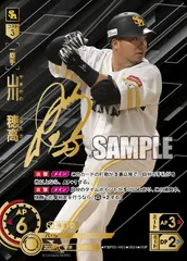 最終値下げ ドリームオーダー プレイヤーズチャレンジ 大野雄大 山川穂高 2025年最新】山川穂高 ドリームオーダーの人気アイテム - メルカリ