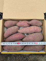 無農薬　さつまいも　紅はるか