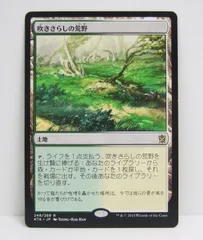 hauori_mtg⭕️吹きさらしの荒野 foil ゼンディカーエクスペ