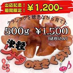 【期間限定価格！】生キクラゲ500g⭐️ 国産（青森県産）⭐️無農薬🎵【津軽ソナタのきくらげ】🎶　生キクラゲ500g⭐️　採れたて新鮮！農家直送♪のサムネイル