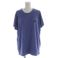 パタゴニア Patagonia ウィメンズキャプリーンクールデイリーグラフィックシャツ Tシャツ カットソー プリント 半袖 L 青 ブルー 45250 /RO