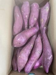 今季終了間近！！甘〜い！　大分産　さつまいも　　生芋　10kg 紅はるか　甘い 生芋 大容量