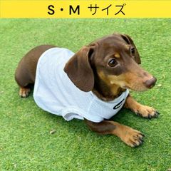 メルカリ ダックス服 S M 接触冷感 メッシュ クール クロップド タンクトップ ひんやり 小型犬 中型犬 ダックスフンド 夏 doggystar ドッギースター