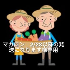 淡路島産新玉ねぎ夢玉 無農薬 高糖度 甘い 香りがいい 淡路島夢玉ファーム