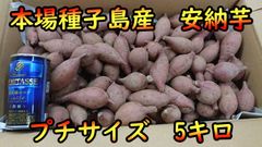 【本場】安納芋 紅プチサイズ　5キロ【種子島産】
