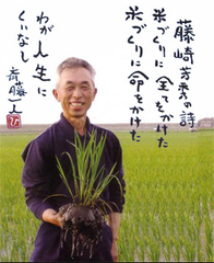 新米 コシヒカリ【玄米】千葉県産　お米　コシヒカリ 2Kg  農薬不使用 　真空パック　玄米