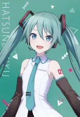 【中古】キャラカード 初音ミク プロフィールカード 「プロジェクトセカイ カラフルステージ! feat.初音ミク 2023ウィンターフェア」 アニメイトグッズ購入特典
