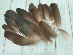 ★アウトレット品★コンドルの羽22本セット